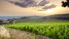 Colinas cubiertas de viñedos en Chianti, la Toscana, Italia