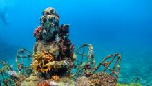 Una estatua de Buda cubierta de coral descansa en el fondo del mar, cerca de la costa de Pemuteran, Bali, Indonesia