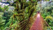 Selva de Costa Rica