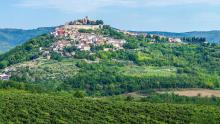 Pueblo cimero de Motovun rodeado de viñedos, Istria, Croacia