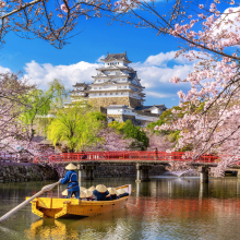 Navegando entre flores de cerezo y castillo en Himeji, Japón.