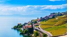 Los viñedos de Lavaux, declarados Patrimonio Mundial, junto al lago Lemán, alrededores de Vevey, Suiza