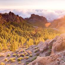 Gran Canaria, Islas Canarias, España