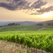 Colinas cubiertas de viñedos en Chianti, la Toscana, Italia