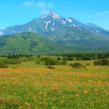 Las empinadas laderas volcánicas del monte Rishiri se alzan sobre un campo de flores silvestres próximo a la costa de Hokkaidō, Japón