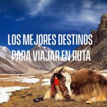 Yak en las montañas del Himalaya, Bután ©jankovoy/Getty Images