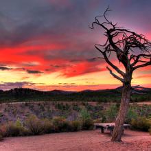 Australian outback, Flinders Ranges National Park 