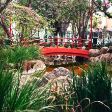 Puente tradicional japonés en Liberdade 