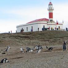 Isla Magdalena, Chile