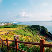 Sendero Ilchulbong Tuff Cone en la isla de Jeju, Corea