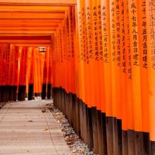 El santuario Fushimi Inari Taisha, en Kioto, Japón