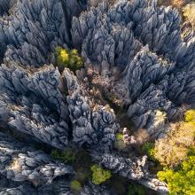 Tsingy de Bemaraha, Madagascar