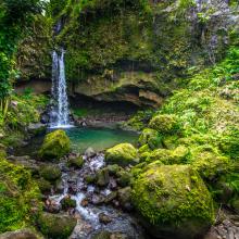 Emerald Pool en el Parque Nacional Morne Trois Pitons.