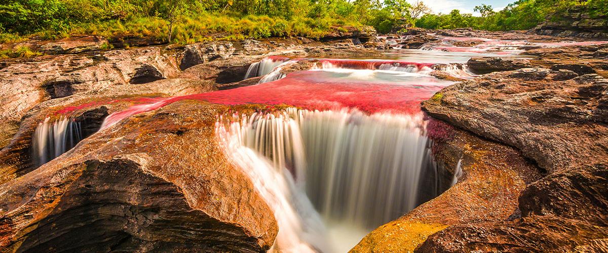 Caño Cristales, Colombia, una de las maravillas del mundo