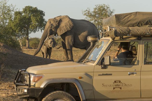 Parque Nacional South Luangwa. ©Philip Lee Harvey/Lonely Planet