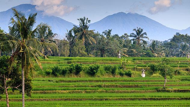 Arrozales con el ponte Monte Agung de fondo en Bali, Indonesia