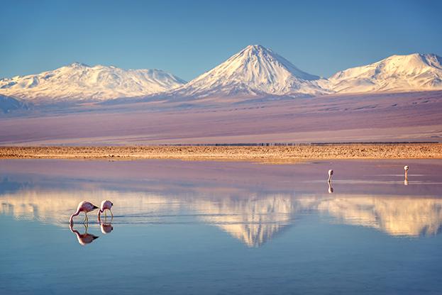 Laguna Chaxa