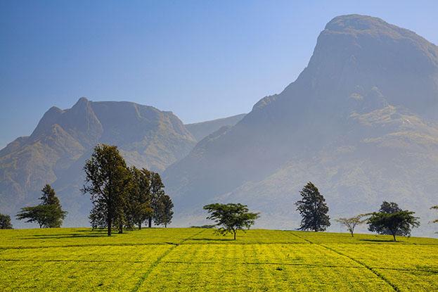 Macizo Mulanje