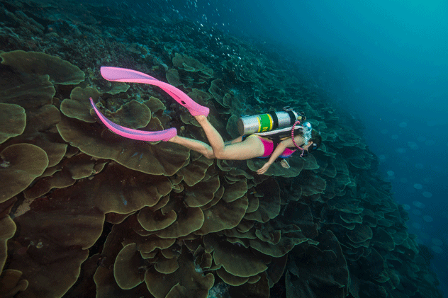 Buceo por las islas. © Song Heming/Stocksy