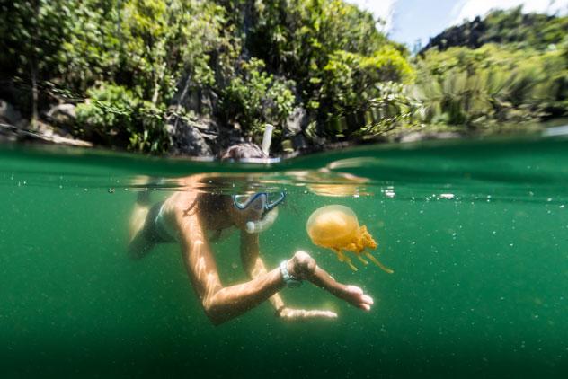 Buceo en Misool. © Subphoto.com/Shutterstock