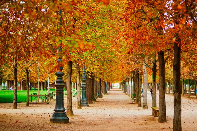 Otoño en el jardín de las Tullerías. ©  Ekaterina Pokrovsky/Shutterstock