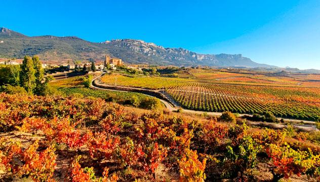 Otoño en la Rioja Alavesa. © Jesus Ignacio Bravo Soler/Shutterstock