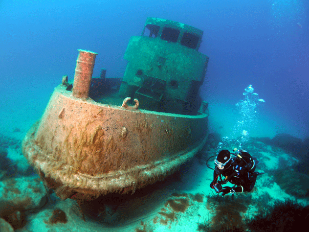 Buceo entre pecios. DAAgius/Shutterstock©